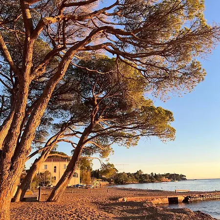 Ravissant Bastidon Avec Jardin Apartment